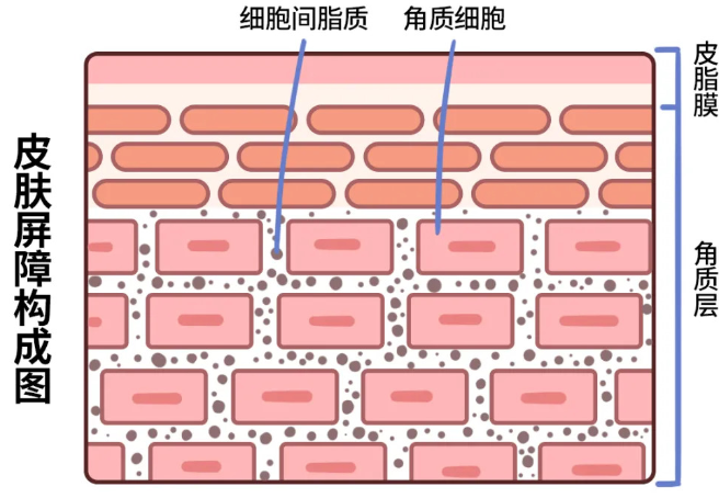 微信图片_20220919083058.png