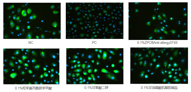 GMP多肽合成公司